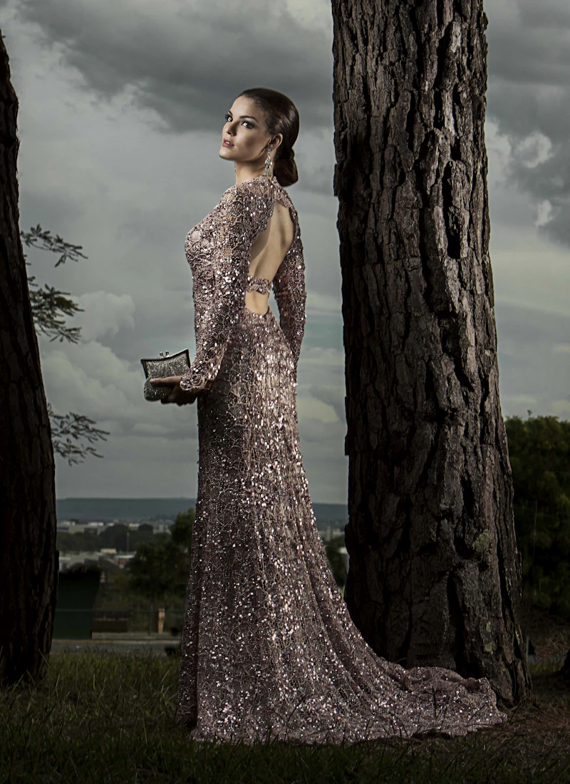 Woman wearing a silver embellished formal gown